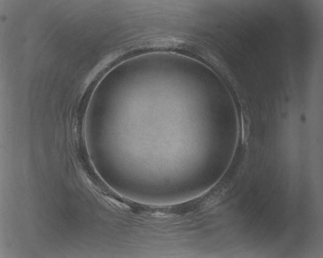 X0000052550483200507011134