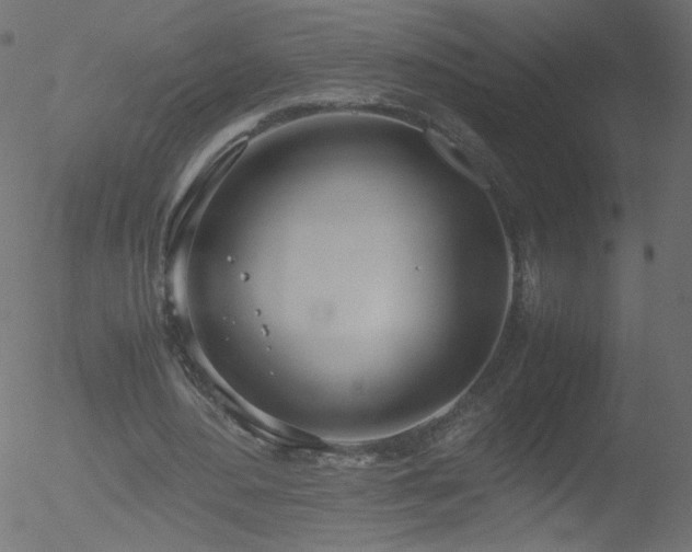 X0000052550484200507011134