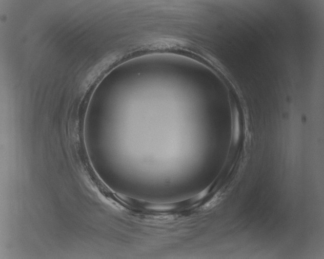 X0000052550485200507011134