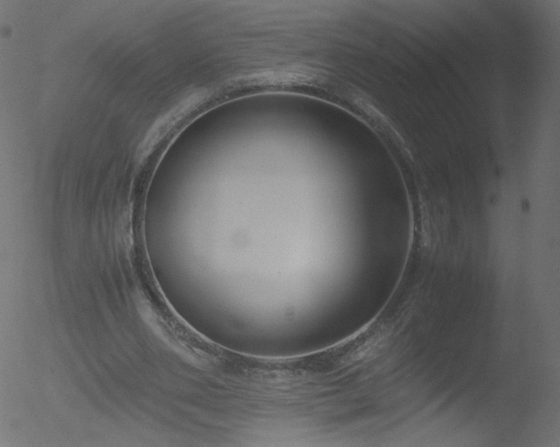 X0000052550486200507011134