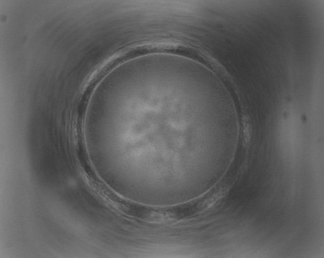 X0000052550487200507011134