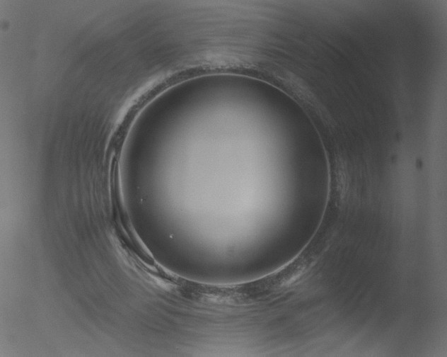 X0000052550488200507011134