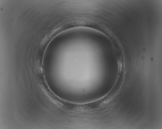 X0000052550489200507011134