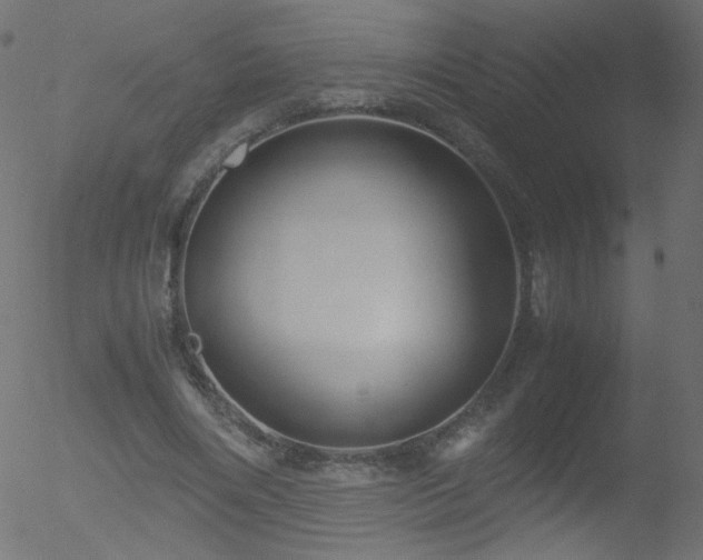 X0000052550490200507011134