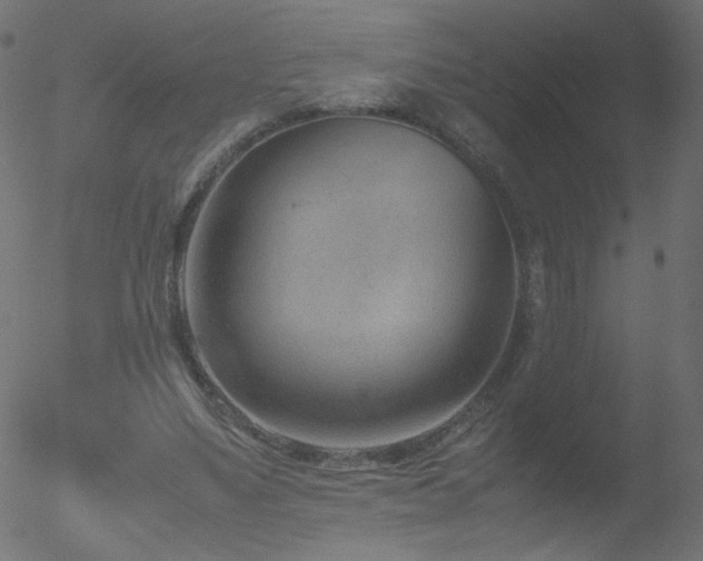 X0000052550491200507011134