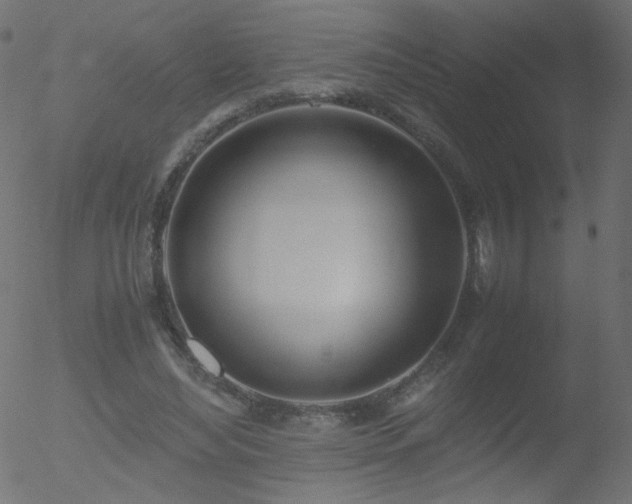 X0000052550492200507011134