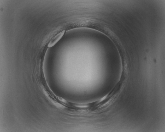 X0000052550493200507011134