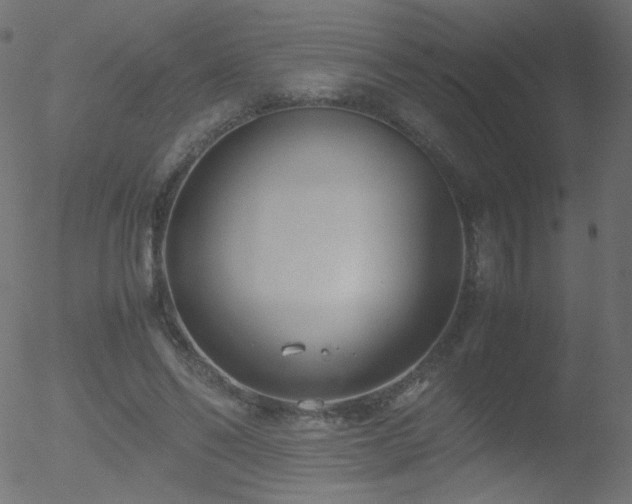 X0000052550494200507011134