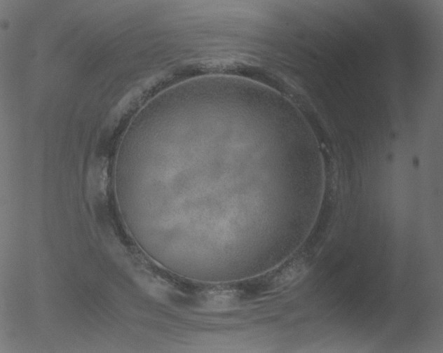 X0000052550495200507011134