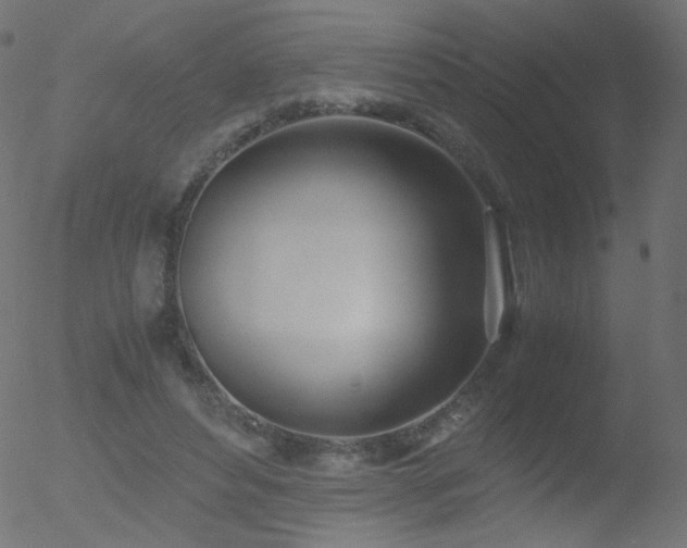 X0000052550496200507011134