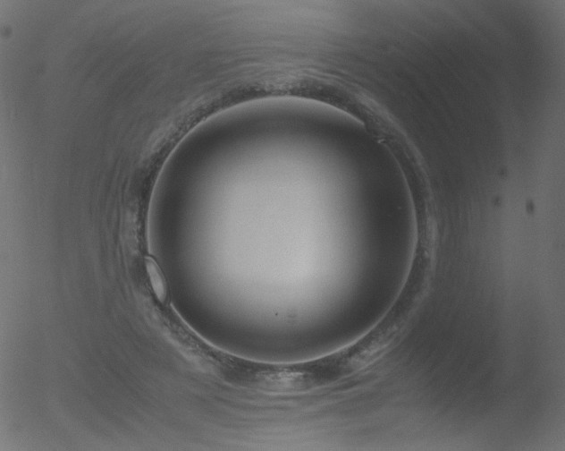 X0000052550497200507011134