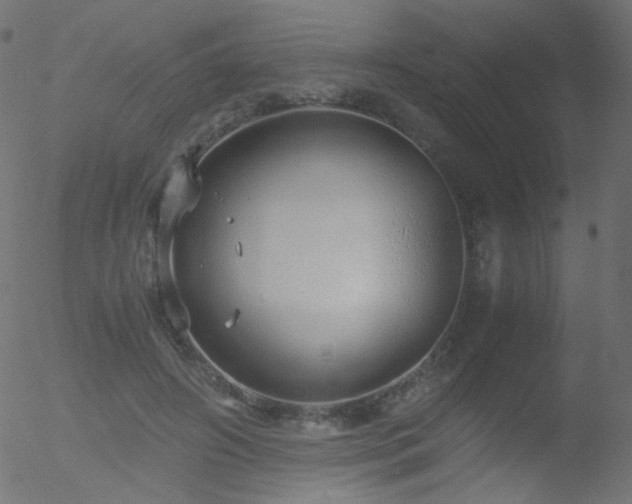 X0000052550498200507011134