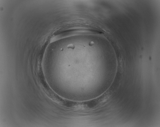 X0000052550499200507011134