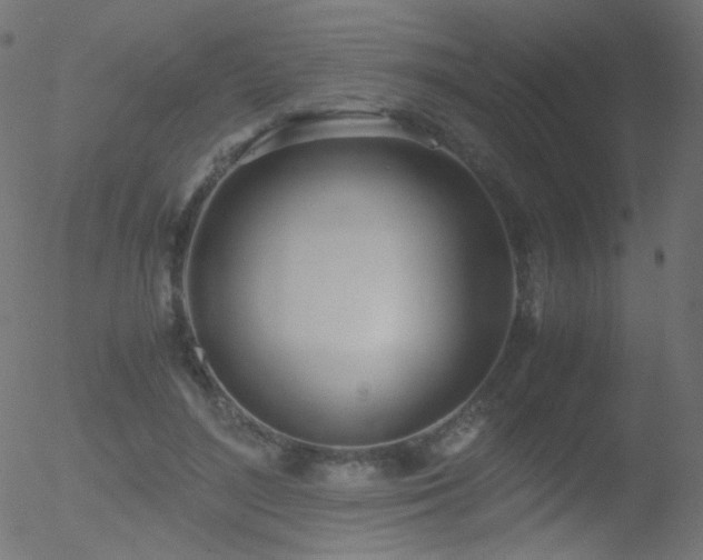 X0000052550500200507011134