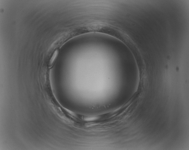 X0000052550501200507011134