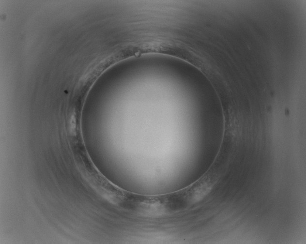 X0000052550502200507011134