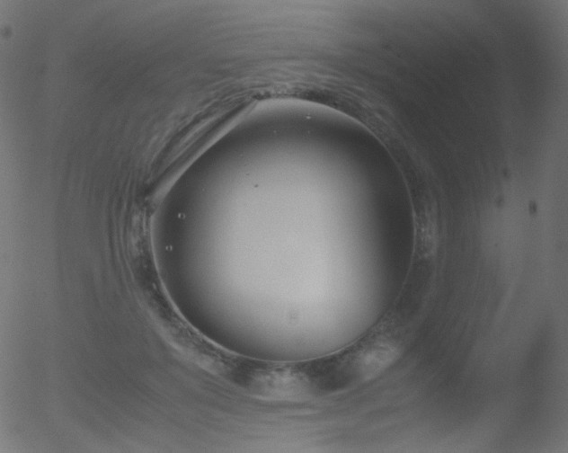 X0000052550503200507011134