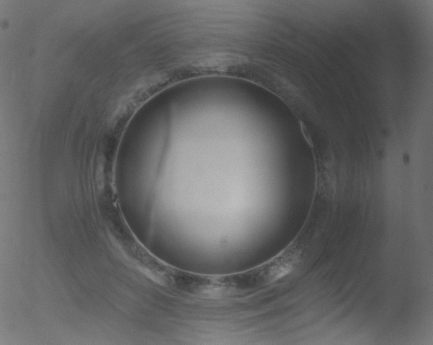 X0000052550504200507011134