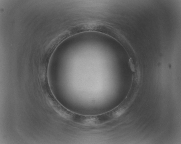 X0000052550505200507011134