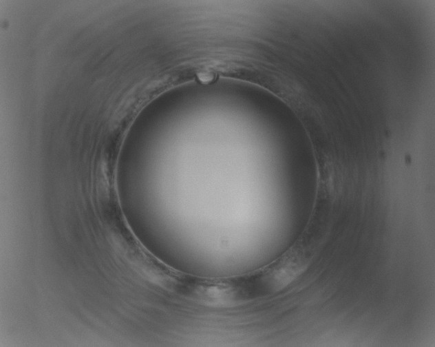 X0000052550506200507011134