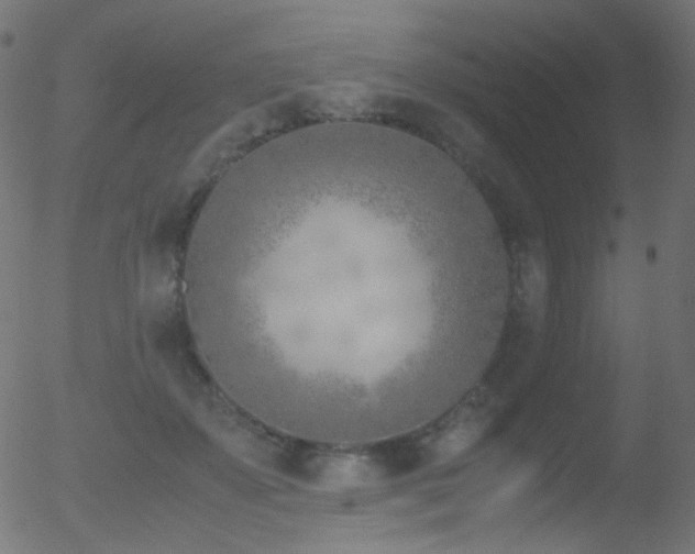 X0000052550507200507011134