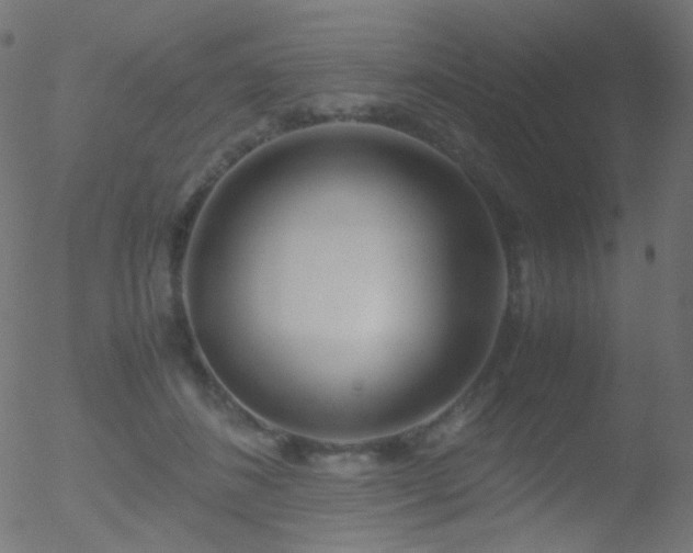 X0000052550508200507011134