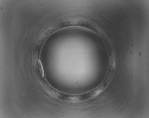 X0000052550509200507011134