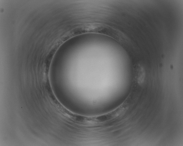 X0000052550510200507011134