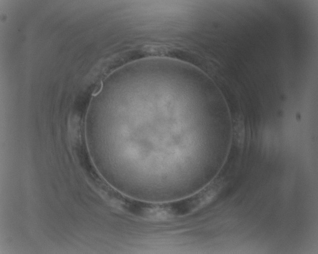 X0000052550511200507011134