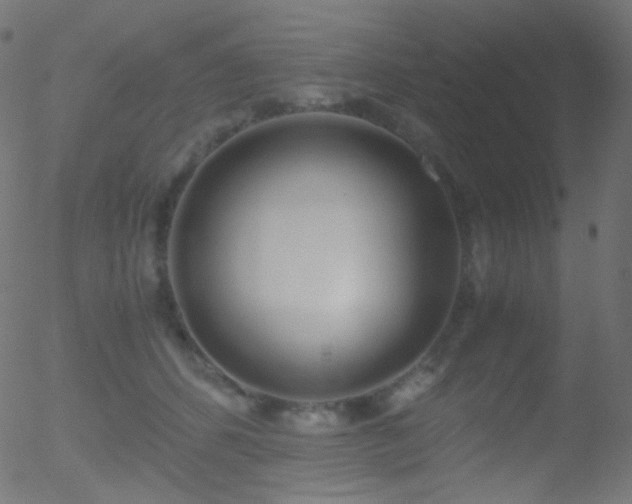 X0000052550512200507011134