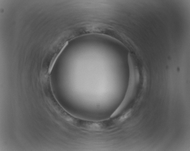 X0000052550513200507011134