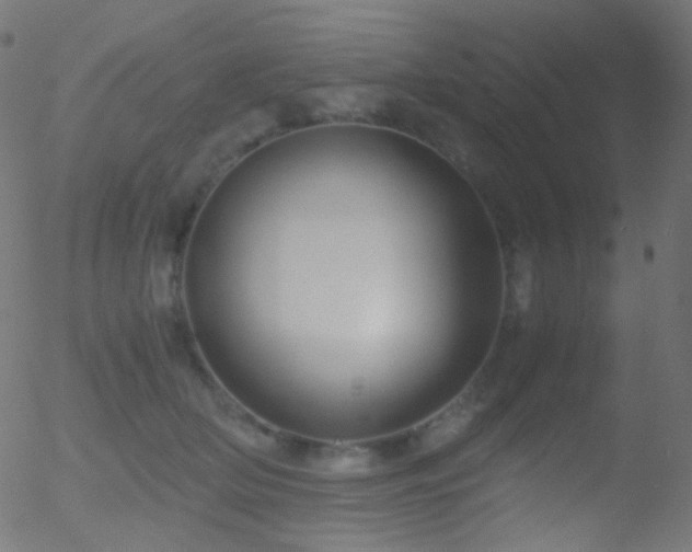 X0000052550514200507011134