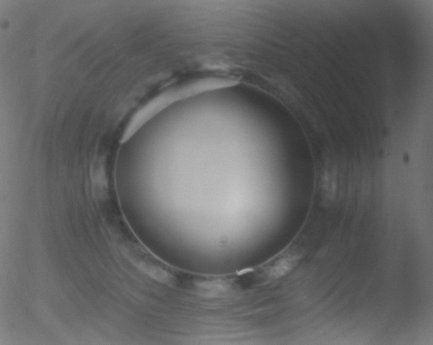 X0000052550516200507011134