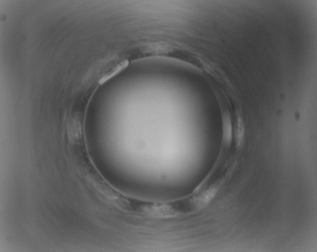 X0000052550517200507011133