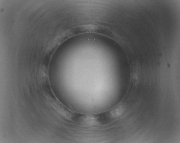 X0000052550518200507011133