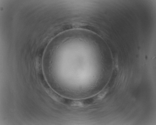 X0000052550519200507011133