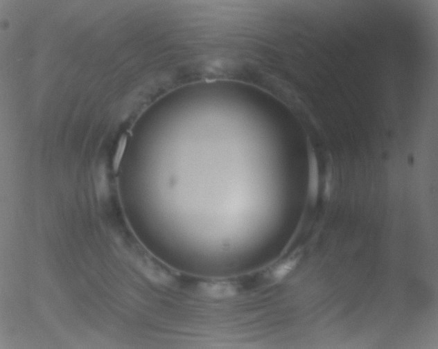 X0000052550520200507011133