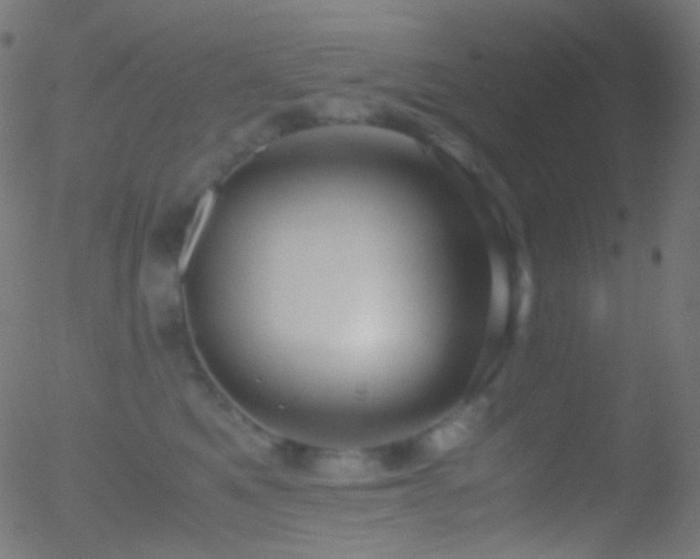 X0000052550521200507011133