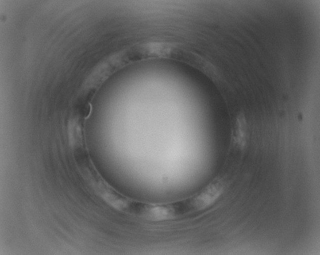 X0000052550522200507011133