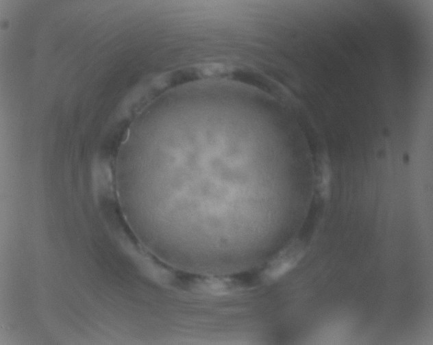 X0000052550523200507011133