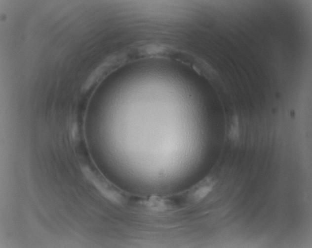 X0000052550524200507011133