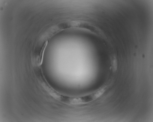 X0000052550525200507011133