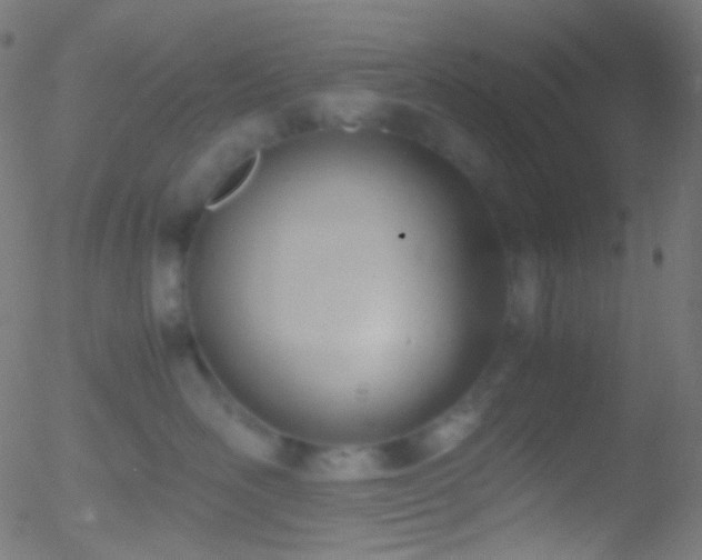 X0000052550526200507011133