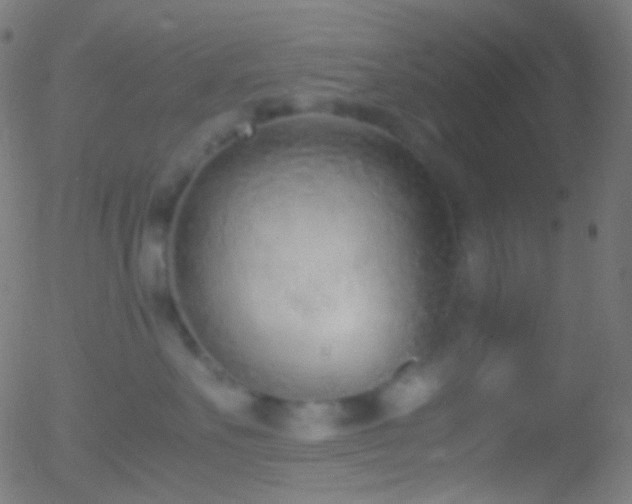 X0000052550527200507011133