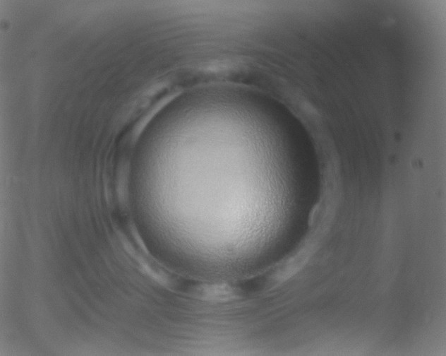 X0000052550528200507011133