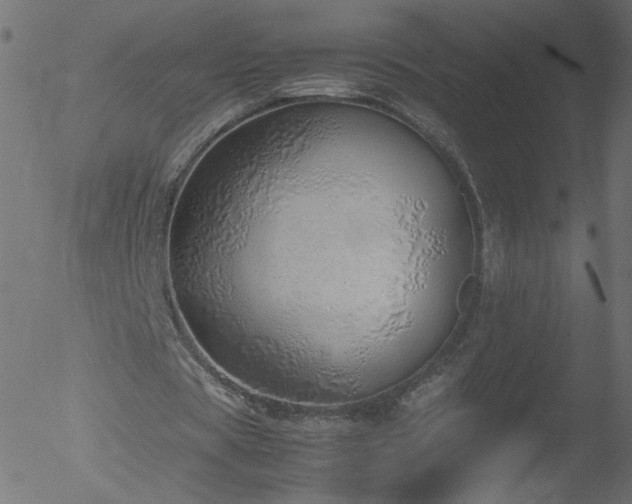 X0000052550529200507011133