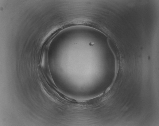 X0000052550530200507011133