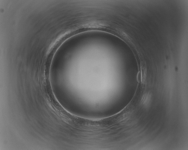 X0000052550531200507011133