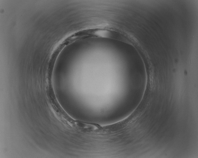 X0000052550532200507011133