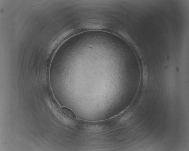 X0000052550533200507011133